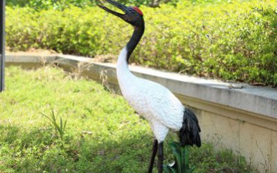 公園草地上一只站立的玻璃鋼仿真動(dòng)物丹頂鶴雕塑