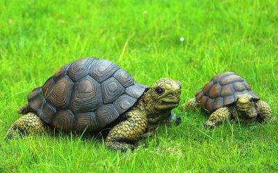 戶外草坪玻璃鋼仿真動(dòng)物烏龜?shù)袼?>
	                <div>戶外草坪玻璃鋼仿真動(dòng)物烏龜?shù)袼?/div>
	            </a>
	        	            <a href=